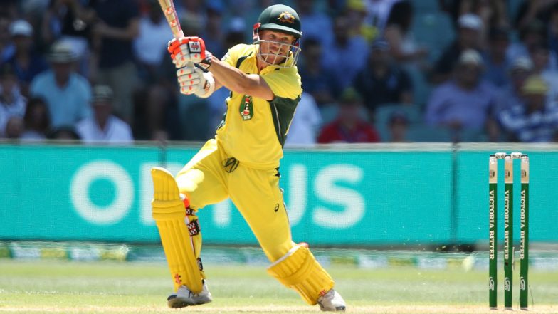 David Warner Becomes Fastest Australian Batsman to Score 5000 Runs, Achieves Feat During IND vs AUS 1st ODI 2020