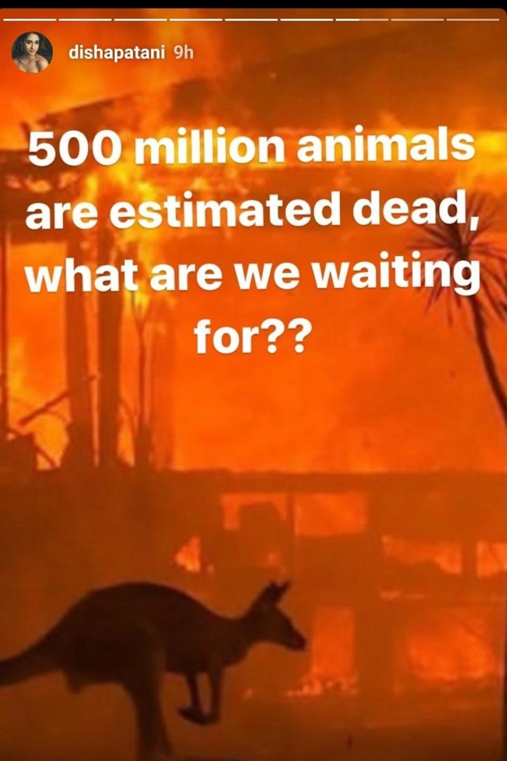 Disha Patani's post on wildfires