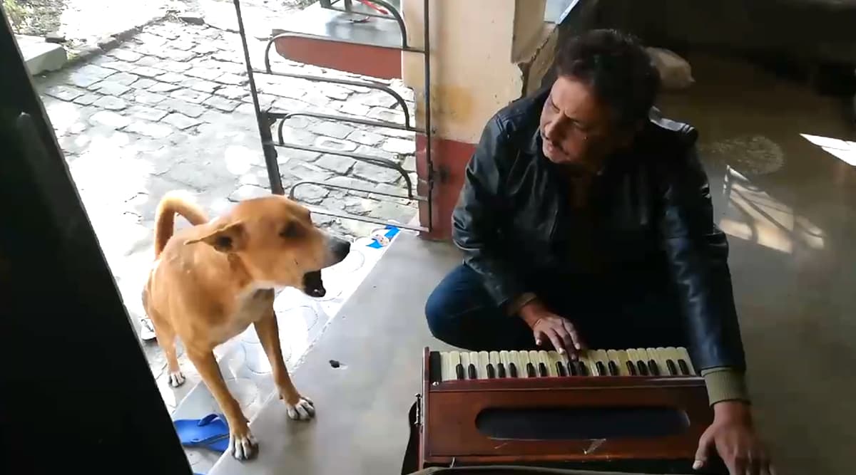 Dog Sings Ranu Mondal's 'Teri Meri Kahani' With Man, Viral Clip Impresses Netizens Dog Sings Ranu Mondal's 'Teri Meri Kahani' With Man, Viral Clip Impresses Netizens