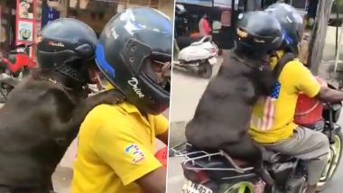 Dog Wears Helmet While Riding Pillion on a Bike in Tamil Nadu, Viral Video Gets Mixed Reactions From Netizens