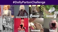 #DollyPartonChallenge Trends Online! Celebrities to Pets, Netizens Participate by Posting Funny Memes and Sexy Photos to Show Different Personalities