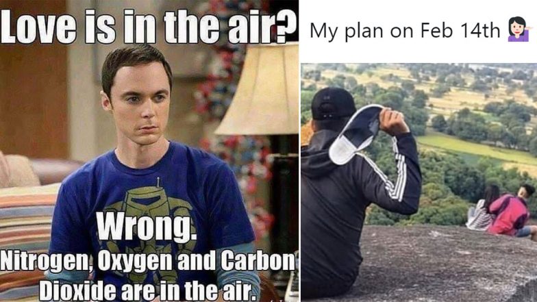 Valentine's Day Funny Memes For The Forever Singles, These Jokes Will Help You Spread Laughs Instead of Love This Season