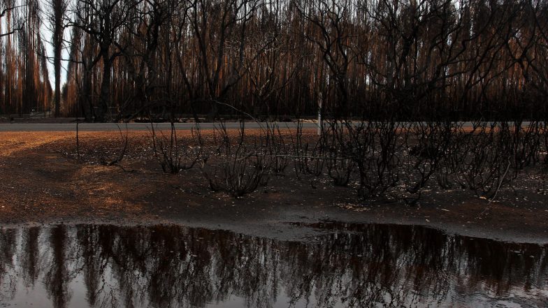 Australia Wildfire: Rain Falls Over Few Parts of Bushfire-Ravaged Region Provides Relief From Months of Catastrophic Blazes