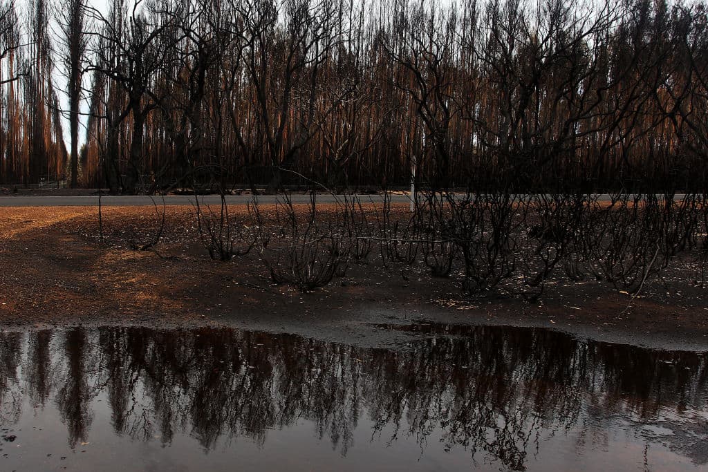 Australia Wildfire: Rain Falls Over Few Parts of Bushfire-Ravaged Region Provides Relief From Months of Catastrophic Blazes Australia Wildfire: Rain Falls Over Few Parts of Bushfire-Ravaged Region Provides Relief From Months of Catastrophic Blazes