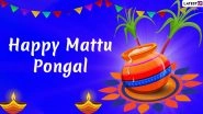 Mattu Pongal 2021 HD Images, Quotes & Greetings: Happy Thai Pongal Messages, Telegram Pics & GIFs to Celebrate the Harvest Festival