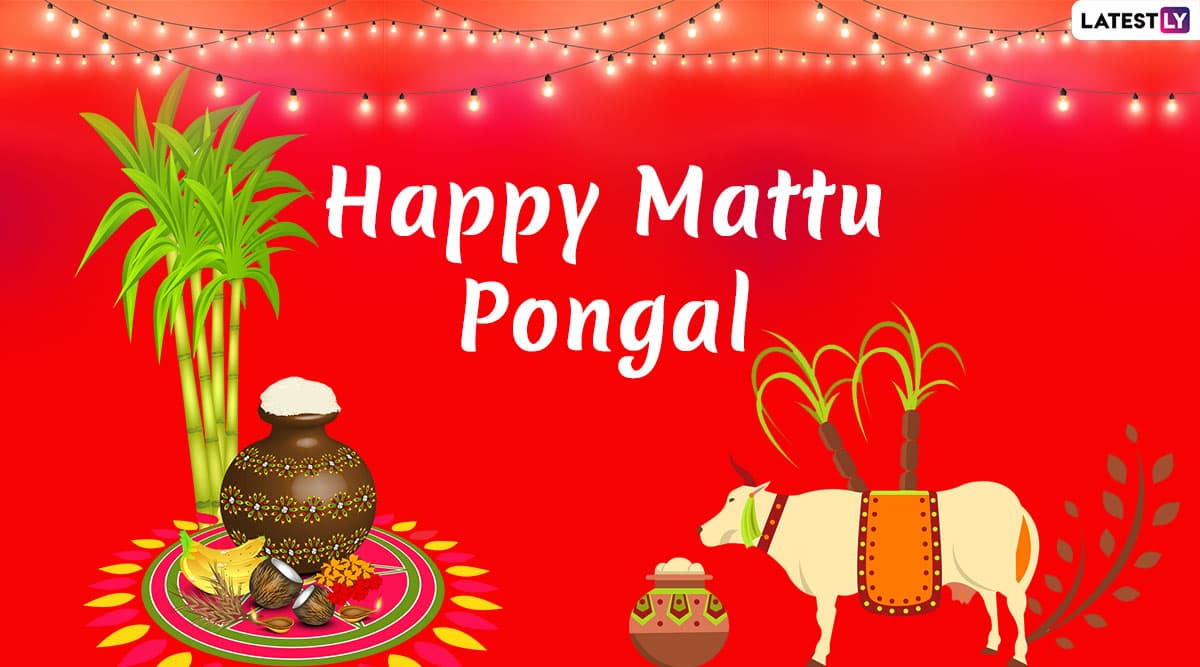 Mattu Pongal Images & Kanuma Telugu Greetings HD Wallpapers For ...