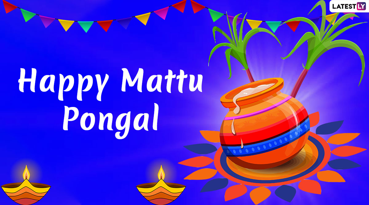 Mattu Pongal 2021 HD Images, Quotes & Greetings: Happy Thai Pongal ...