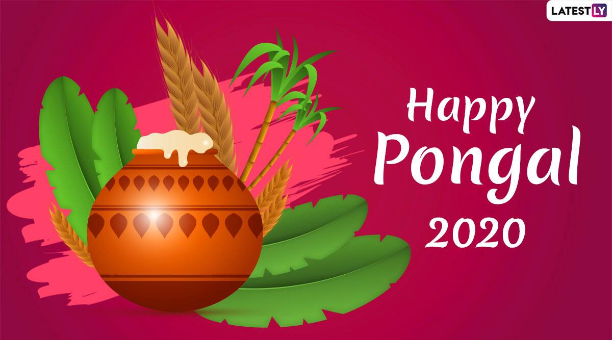 Happy Thai Pongal 2020 Images and HD Wallpapers for Free 