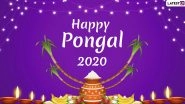 Happy Thai Pongal 2020 Images and HD Wallpapers for Free Download Online: Wish on Pongal With WhatsApp Messages, GIF Greetings and SMS on Tamil Harvest Festival