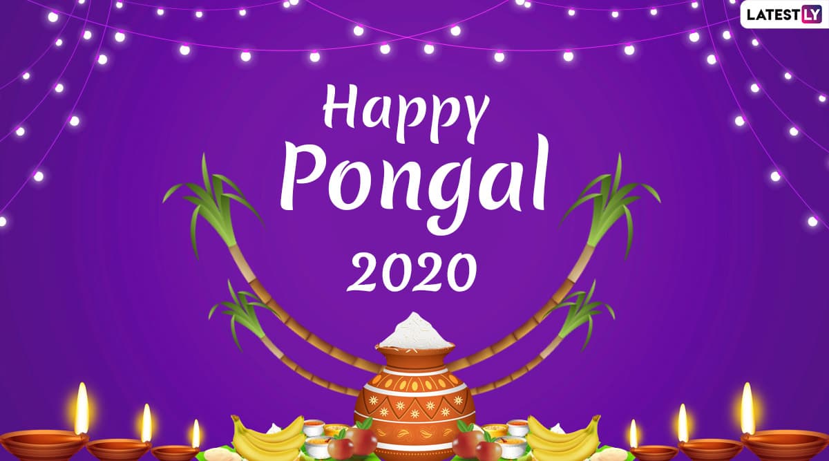 Happy Thai Pongal 2020 Images and HD Wallpapers for Free Download ...