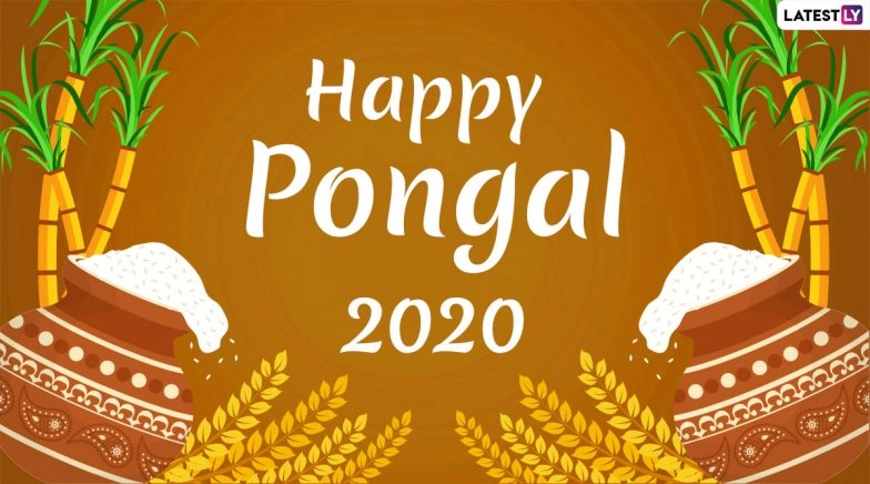 Pongal Images & HD Wallpapers for Free Download Online: Wish Happy Thai Pongal 2020