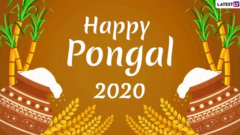 Happy Pongal 2020 Images, HD Wallpapers & Pictures for Free Download Online: Wish Thai Pongal With These Beautiful GIF Greetings, Messages & WhatsApp Stickers