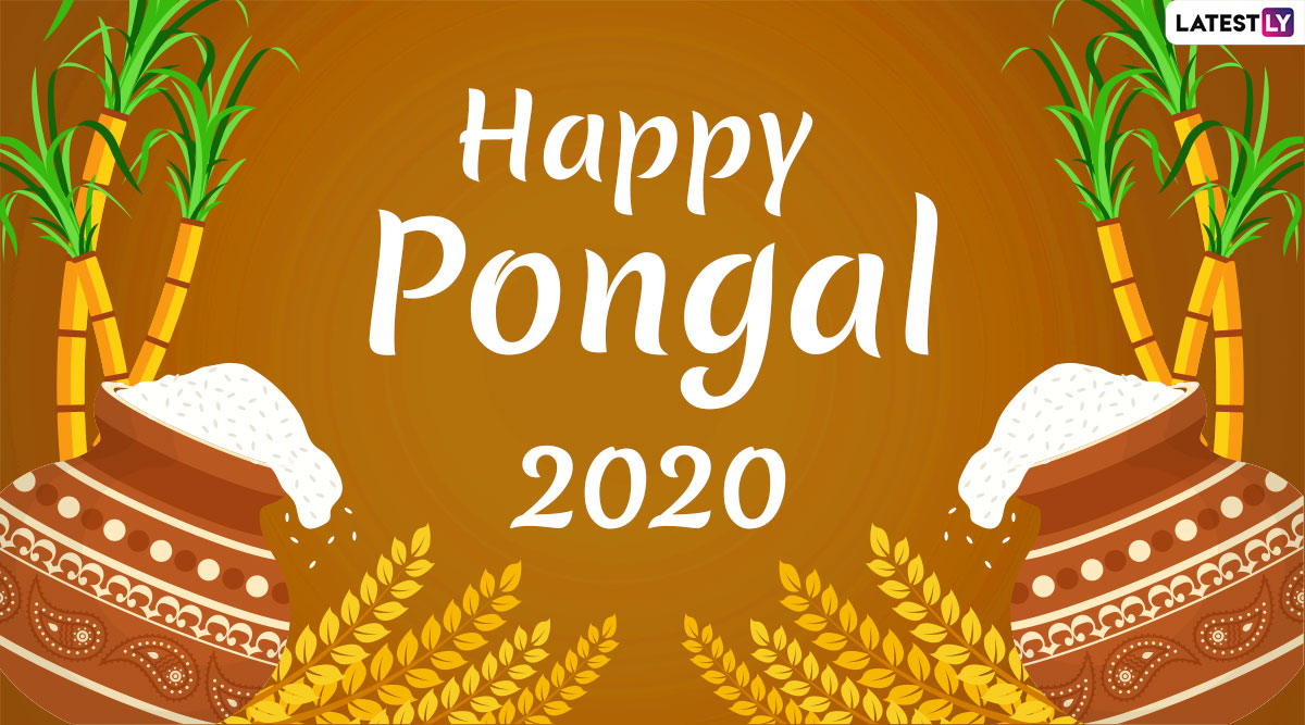 Happy Pongal 2020 Images, HD Wallpapers & Pictures for Free ...