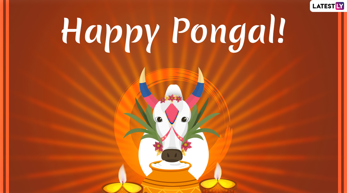 Happy Thai Pongal 2020 Images and HD Wallpapers for Free 