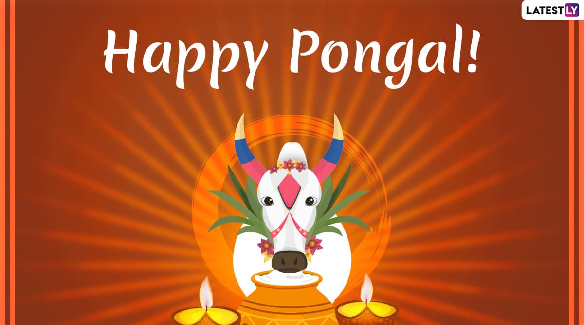 Happy Thai Pongal 2020 Images and HD Wallpapers for Free 