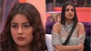 Bigg Boss 13: Himanshi Khurana Feels Sorry For Shehnaaz Gill After Sidharth Shukla Saves Arti Singh Over Her
