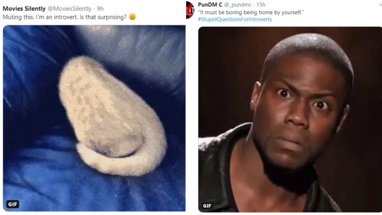 'Stupid Questions For Introverts' Trends on Twitter and Many of Them Unite To Share Funny GIFs and Reactions