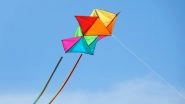 Makar Sankranti 2020: How to Fly a Kite? Easy Steps To Master Kite Flying or Patangbazi (Watch Video)