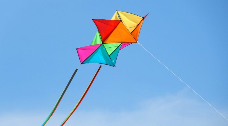 Makar Sankranti 2020: How To Fly A Kite? Easy Steps To Master Kite 