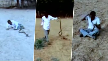 Snake-Man Wrestling: Video Shows Drunk Youth Fighting Reptile Despite Getting Repeatedly Bitten