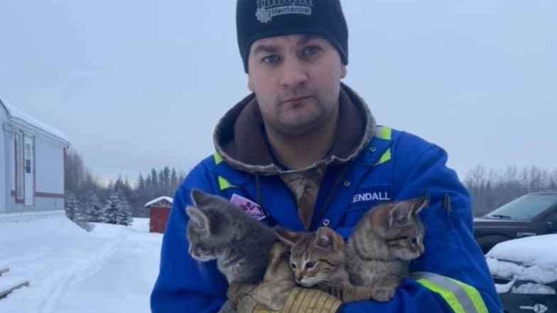 Man Uses Hot Coffee To Rescue Kittens From Freezing Temperatures in Canada (Watch Video)