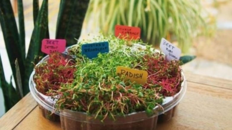 Superfoods That Will Rule 2020 And Keep You At Your Healthiest Best!