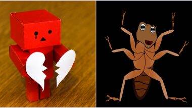 Valentine's Day Gifts For Your Ex! This Zoo Will Let You Name a Cockroach After Them and Feed it To a Meerkat on February 14