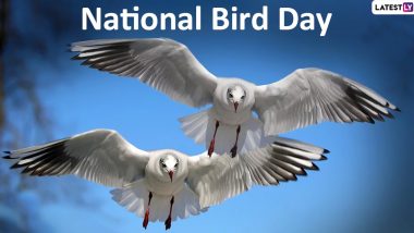 National Bird Day 2020 Date: Know History and Significance of The Day Dedicated Towards Bird Welfare