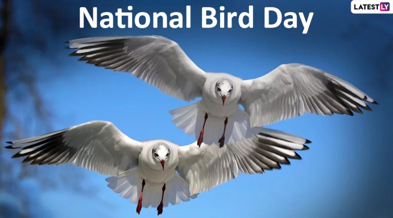 National Bird Day 2020 Date Know History And Significance Of The Day