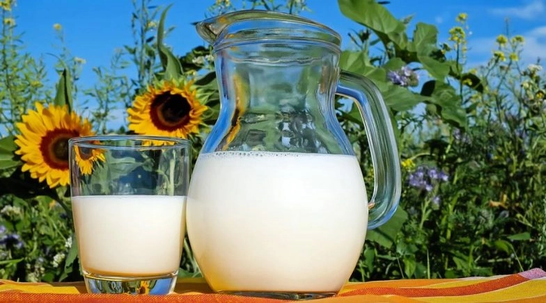 7 Fun Facts About Milk That You Should Know 