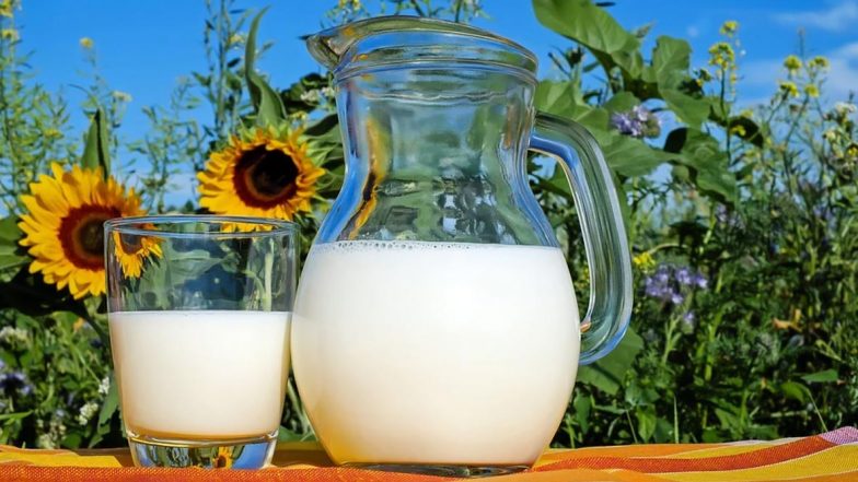World Milk Day 2020: Is Toned Milk Healthier Than Whole Milk? All You Need to Know About the Nutrition and Calorie Count of This Low-Fat Milk