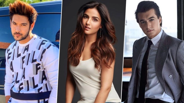 New Year 2020: Mohsin Khan, Jasmin Bhasin, Shivin Narang, Vijayendra Kumeria - Actors Share Their Resolutions