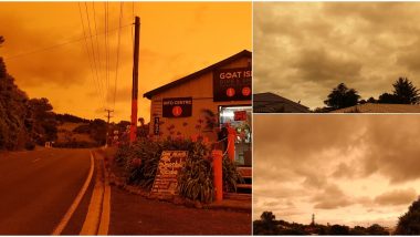 New Zealand Skies Turn Orange After Being Engulfed by Smoke From Australian Bushfires (View Pics and Videos)