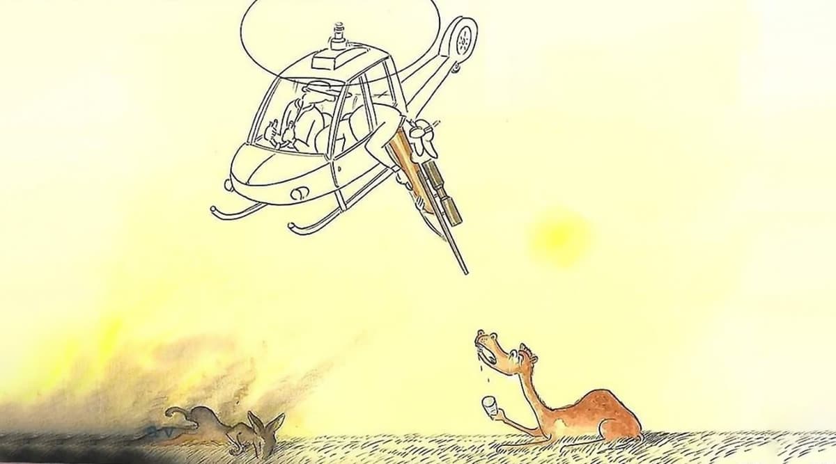 Australia Bushfires: Above 1 Billion Animals Dead, PETA Urges Govt to Take Down Decision to Kill 10,000 Camels As It Won’t Solve Wildfire Crisis (Check Tweet) Australia Bushfires: Above 1 Billion Animals Dead, PETA Urges Govt to Take Down Decision to Kill 10,000 Camels As It Won’t Solve Wildfire Crisis (Check Tweet)