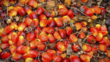 US Bans Second Malaysian Palm Oil Giant ‘Sime Darby Plantation Berhad’ Over Forced Labour