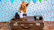 Travel Tip of the Week: 8 Things to Remember If You Are Planning a Pet-Friendly Vacation