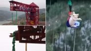 Amusement Park in China Forces 75-Kg Pig to Bungee Jump For 'Fun', Sparks Outrage After Video Goes Viral