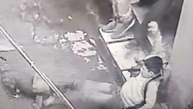 Pitbull Attacks Teenage Boy in Punjab, Video Goes Viral