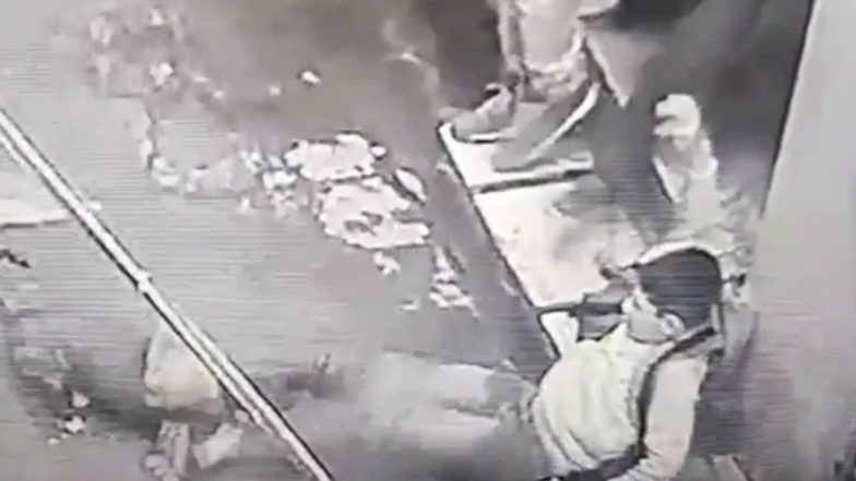 Pitbull Attacks Teenage Boy in Punjab, Video Goes Viral