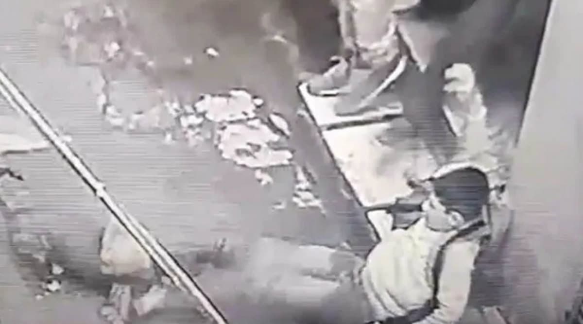 Pitbull Attacks Teenage Boy in Punjab, Video Goes Viral Pitbull Attacks Teenage Boy in Punjab, Video Goes Viral