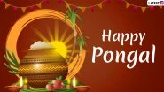 Happy Pongal 2020 Wishes: WhatsApp Stickers, Thai Pongal GIF Images, Facebook Greetings, Quotes, SMS and Messages to Celebrate This Festival of Tamil Nadu