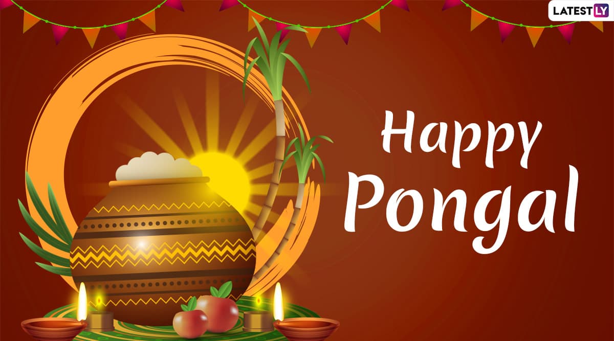 Happy Pongal 2020 Wishes: WhatsApp Stickers, Thai Pongal GIF ...