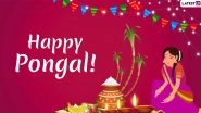 Happy Pongal 2020 Greetings & Images: Mattu Pongal WhatsApp Stickers, Hike GIF Messages, SMS and Quotes to Celebrate Tamil Nadu Harvest Festival