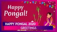 Happy Pongal 2020 Greetings: WhatsApp Messages, Quotes, Images and Wishes for the Harvest Festival