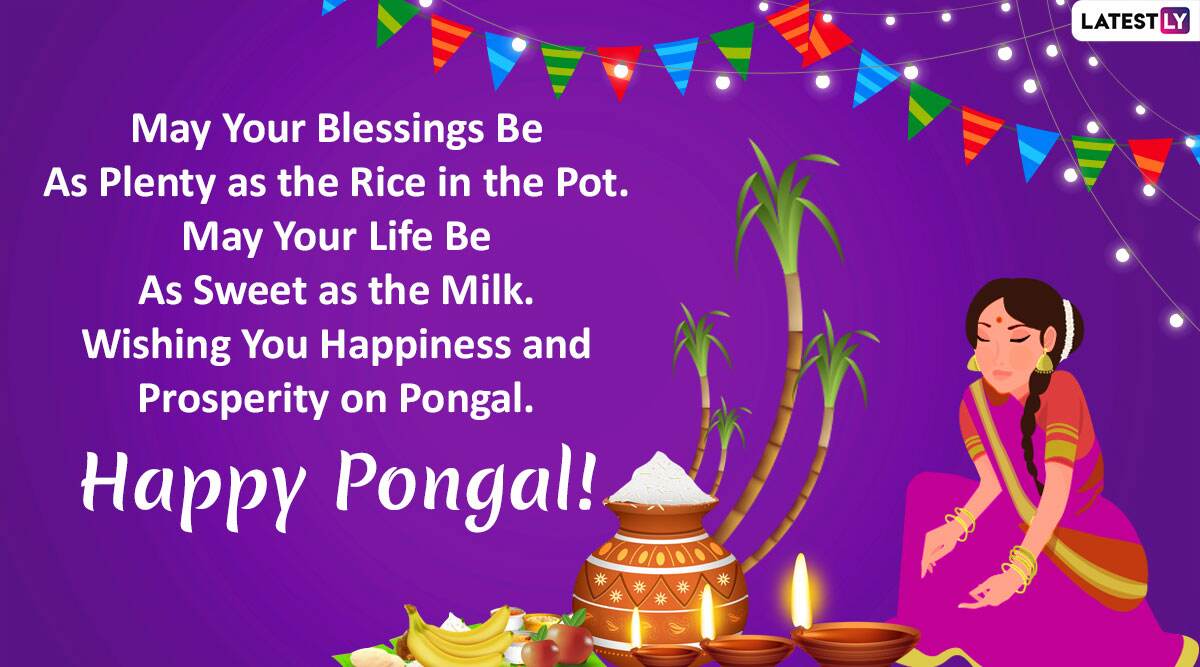 Happy Pongal 2020 Greetings And Images Mattu Pongal Whatsapp Stickers Hike Messages Sms And 9053