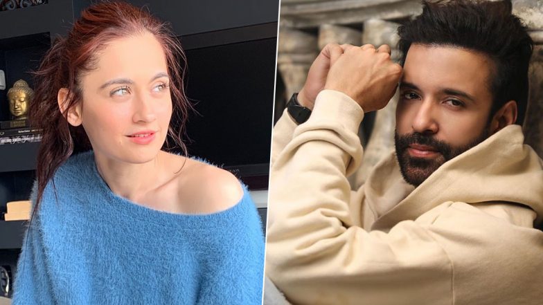 Sanjeeda Shaikh and Aamir Ali's Marriage Of 8 Years On The Rocks? Actors Living Separately?