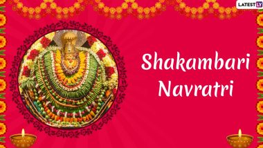 Shakambari Navratri 2020 Dates & Shubh Muhurat: Know Significance of Nine-Day Celebrations of Goddess Parvati
