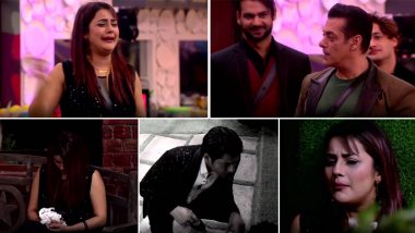 Bigg Boss 13: Shehnaaz Gill’s Crying and Sobbing in Front of Salman Khan Was NOT FAKE, Declare Fans (Poll Result Inside)