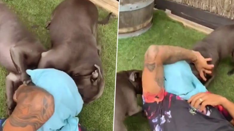 Shikhar Dhawan’s ‘Shaitaani’ With Pet Dogs Will Make You Go ROFL (Watch Video)