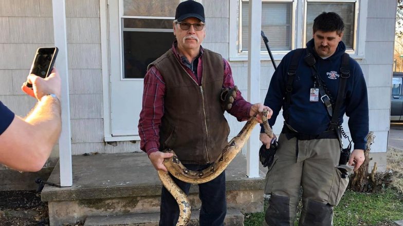 SHOCKING! 6-Foot-Long Snake Found Hiding in Sofa, Photo of GIANT Boa Constrictor at Kansas Residence Goes Viral